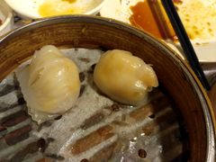 晶莹鲜虾饺-点点心点心专门店(旺角店)