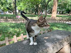 -西园戒幢律寺