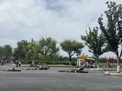 -武汉动物园