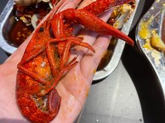 -袁老大龙虾(石鼓路总店)