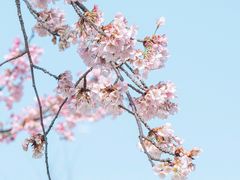 -静安雕塑公园