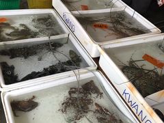 -拉威海鲜市场