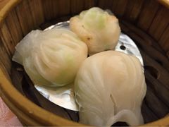 iphone_upload_pic-黄埔华苑酒家(黄埔总店)