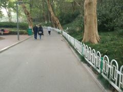 -赭山公园