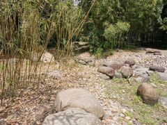 -新虹桥中心花园