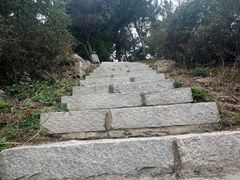 -金龙寺国家森林公园