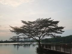 -海珠湖公园