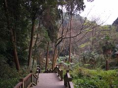 -凤栖山