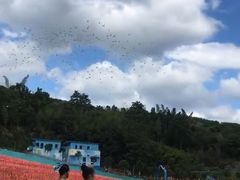 -瓷天下海丝谷