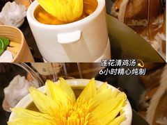 -甄御•海鲜新青岛菜(麦岛店)