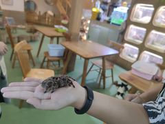 -藦茜花园宠物主题亲子互动体验馆(国顺东路店)