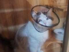 -白兔子密室(长寿路店)