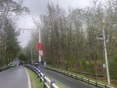 -合肥滨湖国家森林公园