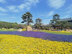 -狼山风景名胜区