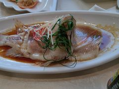 -南海渔家•渔民海鲜(亚特兰蒂斯店)