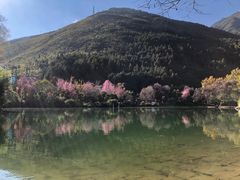 -蝴蝶泉公园