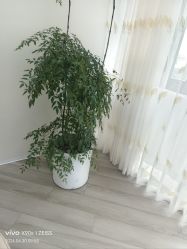 -HEYAN荷妍专业脱毛连锁机构