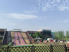 -黄海国家森林公园