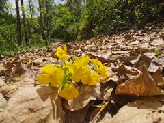 -北京山里寒舍度假酒店