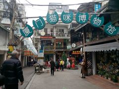 -猫咪博物馆(顶澳仔猫街店)