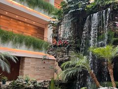 -广州白天鹅宾馆