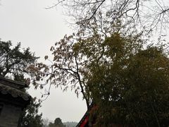 -千佛山风景名胜区