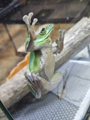 -酷嗒动物文化乐园(cutezoo西溪乐天城店)