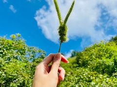 -北京山里寒舍度假酒店