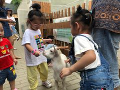 -太阳岛度假酒店