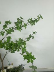 -AM半永久纹眉