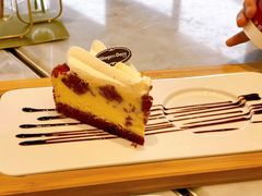 -哈根达斯(赛特奥莱店)