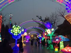 -青岛方特梦幻王国