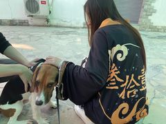-叁拾壹丨浮世绘x壹拾叁沉浸演绎剧场