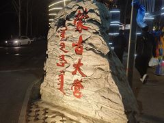 -蒙古大营(朝阳公园店)
