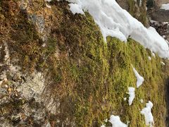 -终南山南五台景区