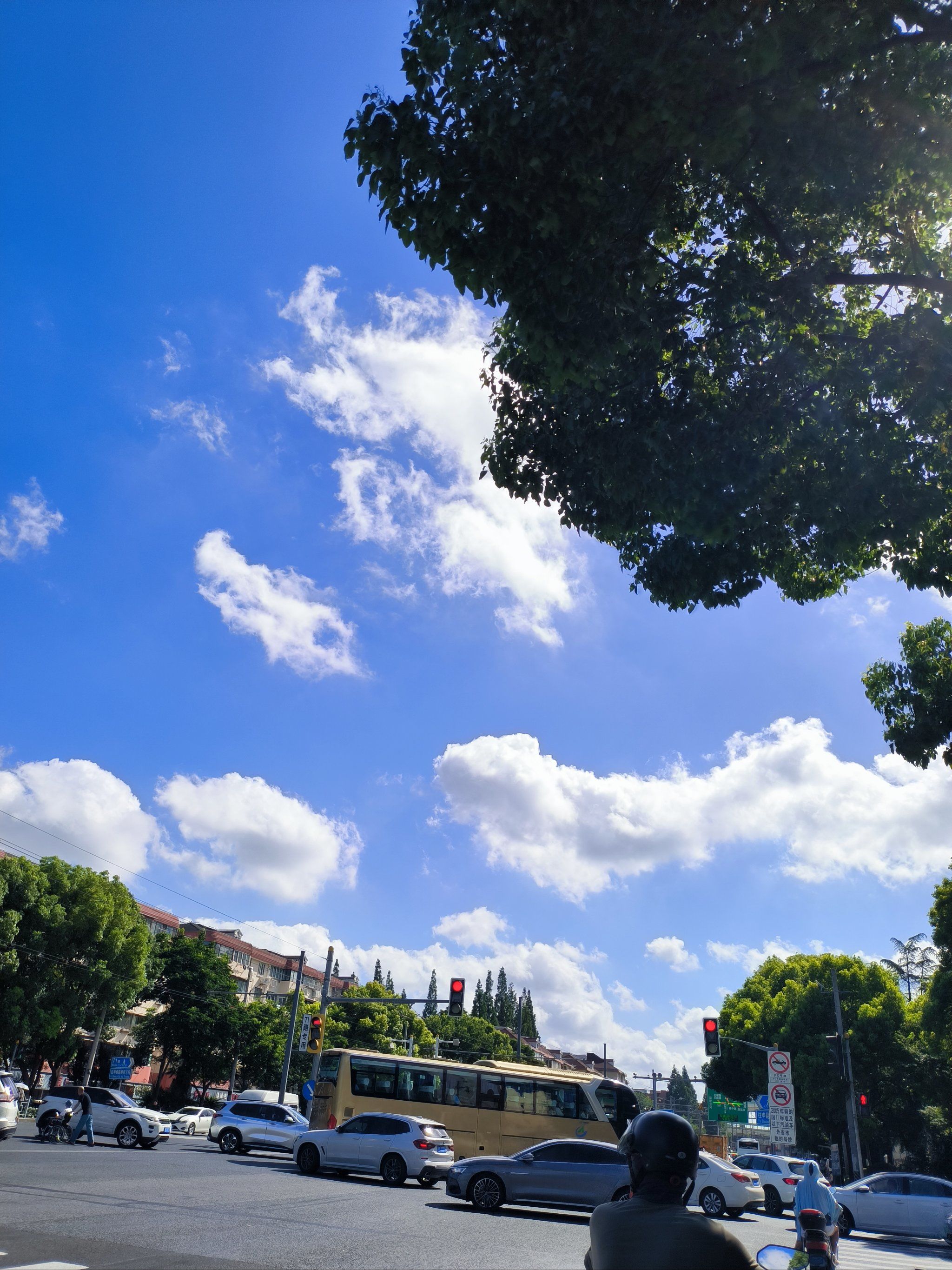 天天领红包 今天的上海的天空好蓝 随手拍天空云朵