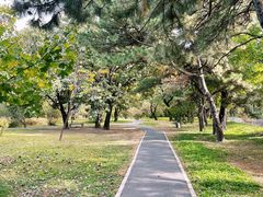 -国家植物园南园