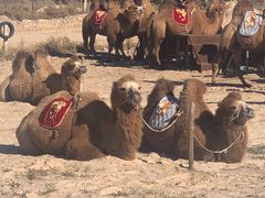 -库伦旗银沙湾旅游景区