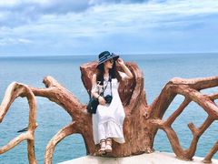 -放鸡岛生态旅游国际度假区