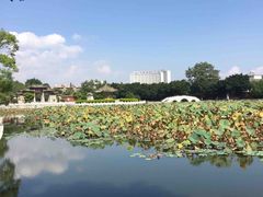 -建水文庙
