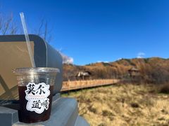 -粘豆包柴火铁锅炖