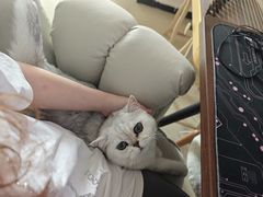 -芭比堂动物医院·犬猫全科·异宠专科(雁塔分院)