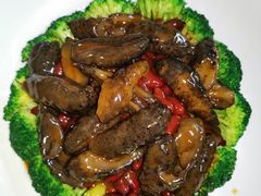 -顺德了能馆(虎门店)