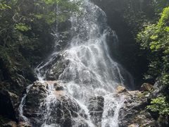 -江西阳明山国家森林公园