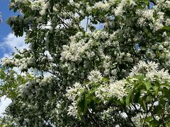 -千佛山风景名胜区-历山院