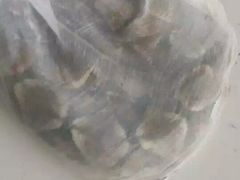 -龚师傅土菜馆.地道农家菜(魅力湘西店)