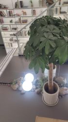 -联合丽格·张菡丽格医疗美容