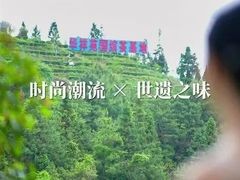 -华祥苑茶馆•国缤茶小蓝罐(普罗旺斯店)