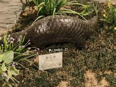 -中山市树木园
