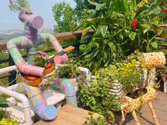 -深圳仙湖植物园